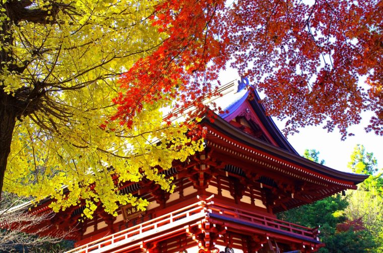 06秋の部　秋の山門（時田宣久）