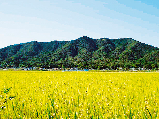 02507F_大平山全景