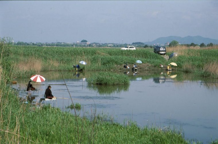 2渡良瀬遊水地4