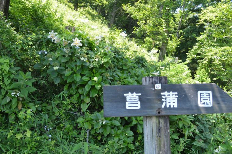 大平町かかしの里 (10)