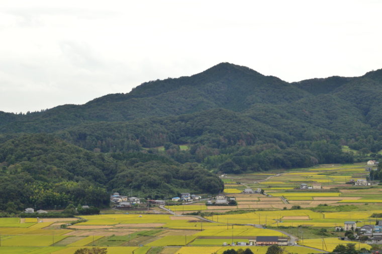 20190824皆川城址公園 (44)