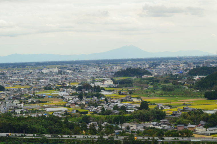 20190824皆川城址公園 (41)