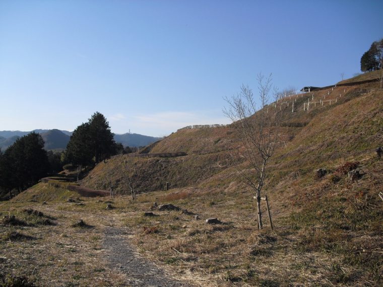 CIMG1547