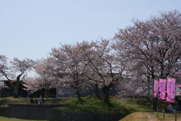 SONY DSC