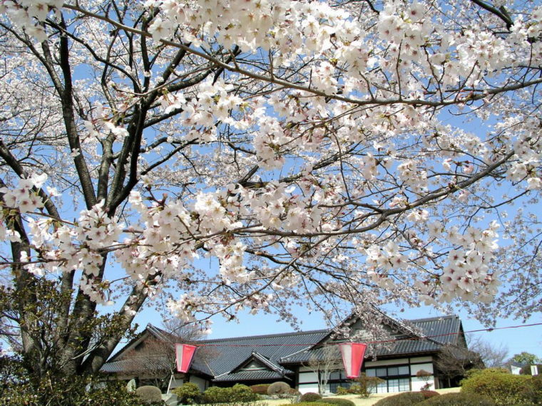 tsuganosato01