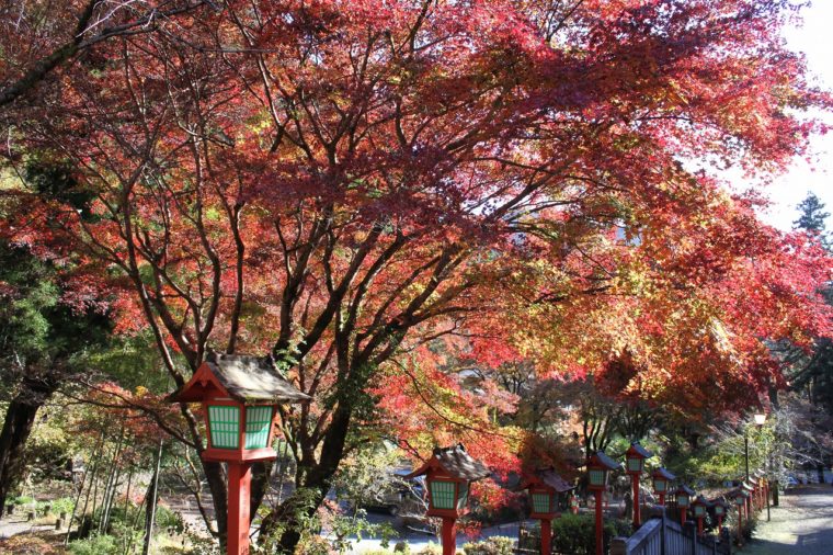 20211130満願寺 (6)