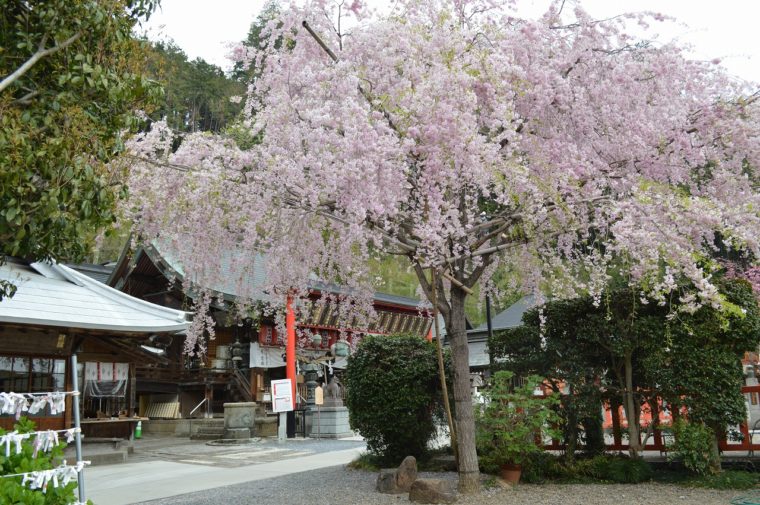 太平山神社 (5)