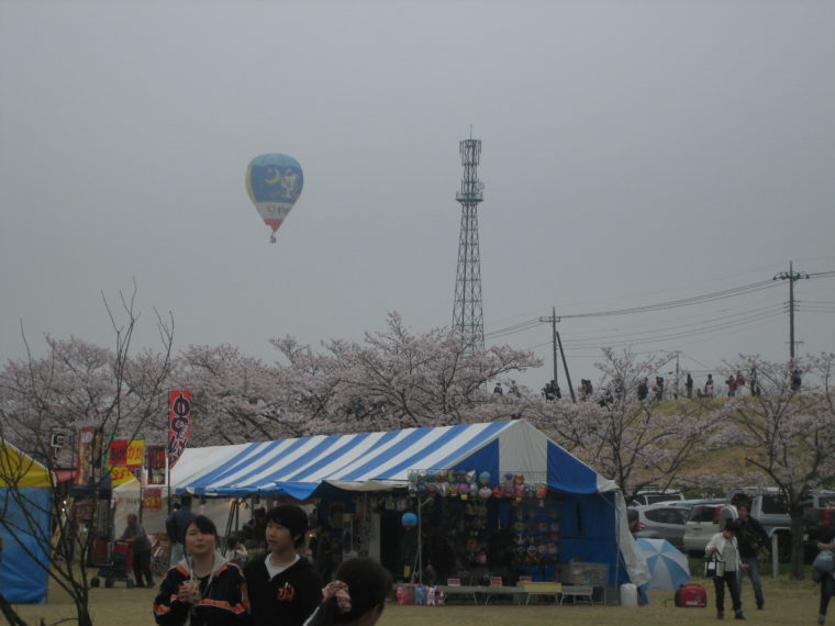 fujioka-sakura_03