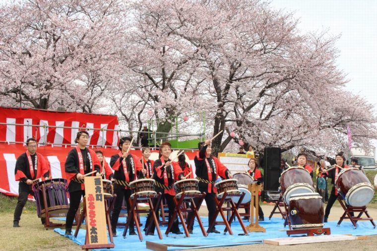 nishikata-sakura