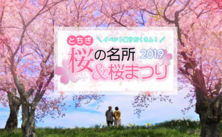19 とちぎの桜を満喫しよう 栃木市観光協会 19 とちぎの桜を満喫しよう 栃木市観光協会