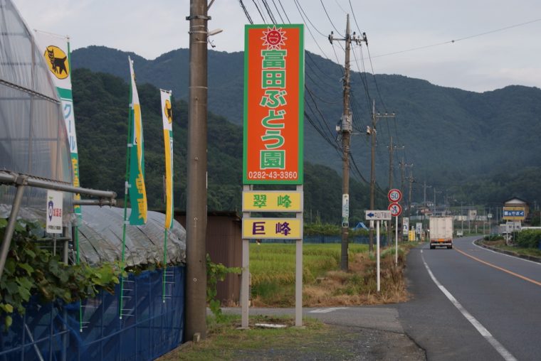 富田ぶどう園DSC04407