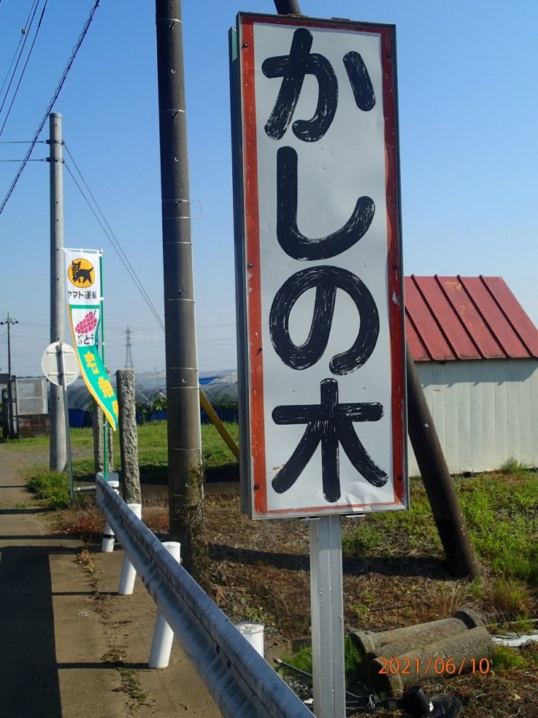 23P6100373　　２３かしの木ぶどう園