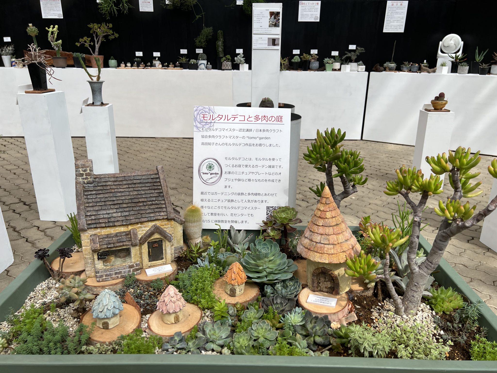 とちぎ花センター 企画展多肉とサボ展 栃木市観光協会