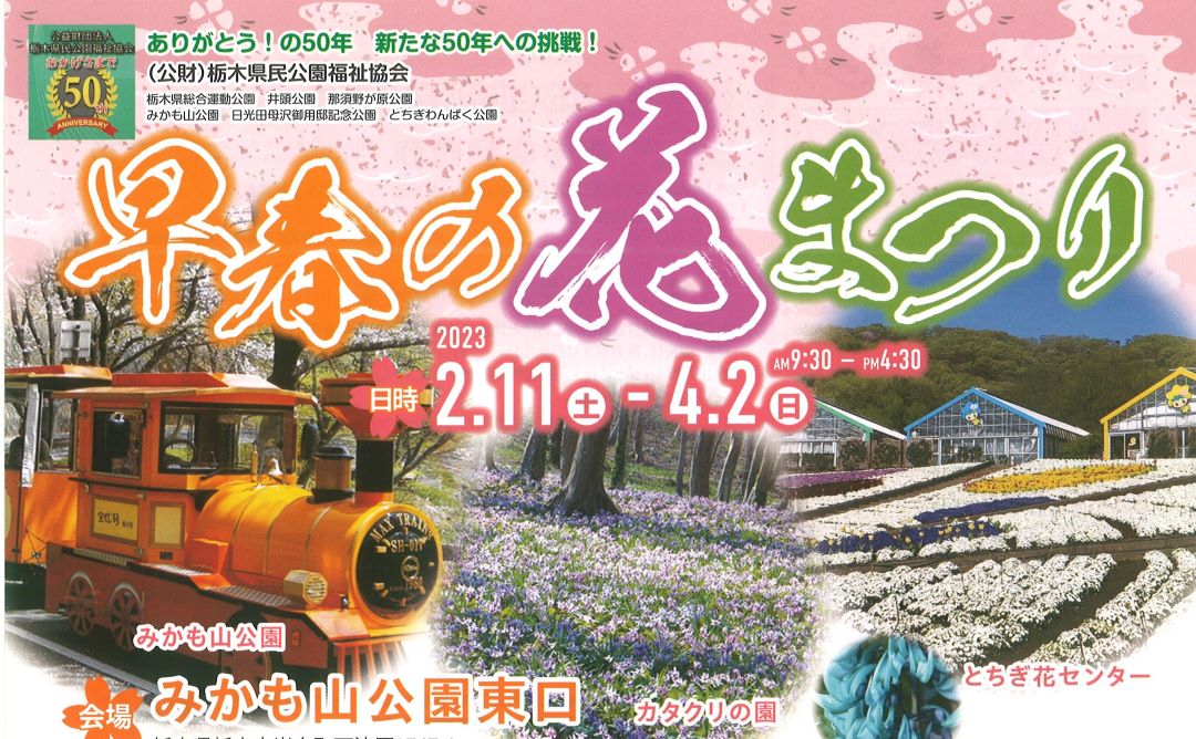 早春の花まつり