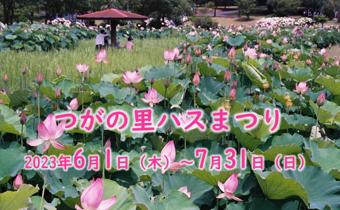tsuganosatohasu