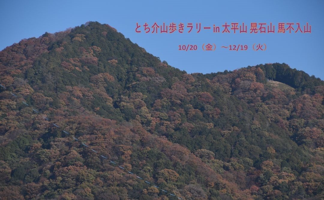 とち介山歩きラリーin太平山 晃石山 馬不入山