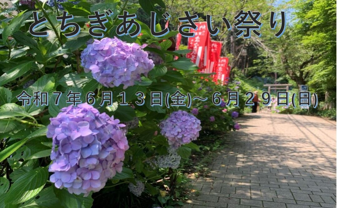 太平山とちぎあじさいまつり