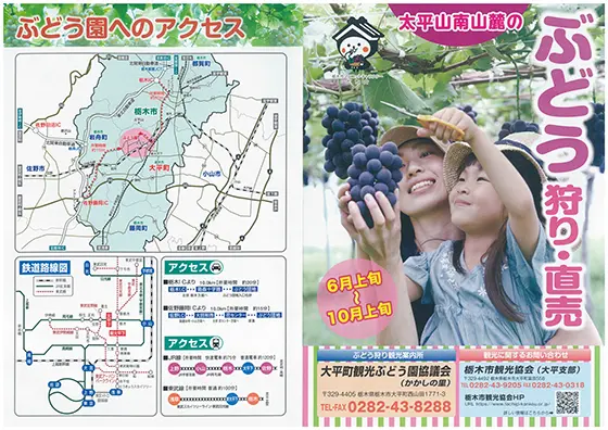 ぶどう狩り・直売