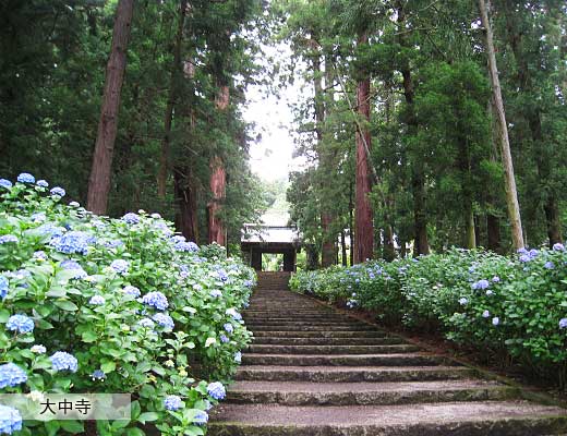 夏の行事のイメージ画像